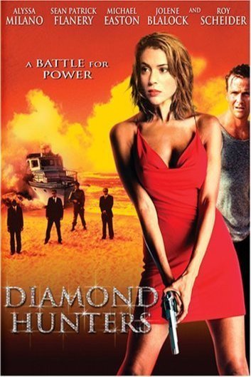 L'affiche du film The Diamond Hunters