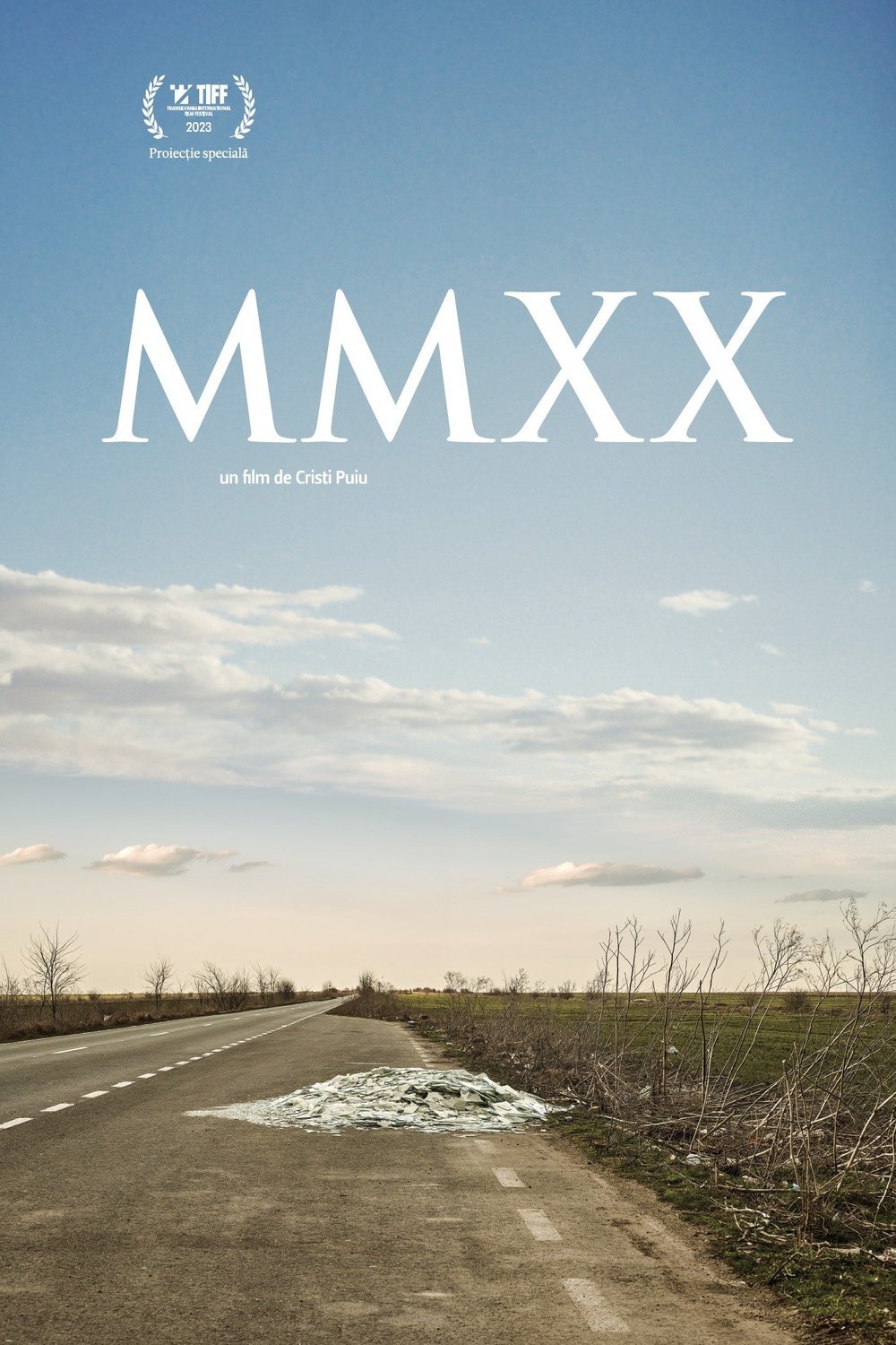 L'affiche originale du film MMXX en Roumain