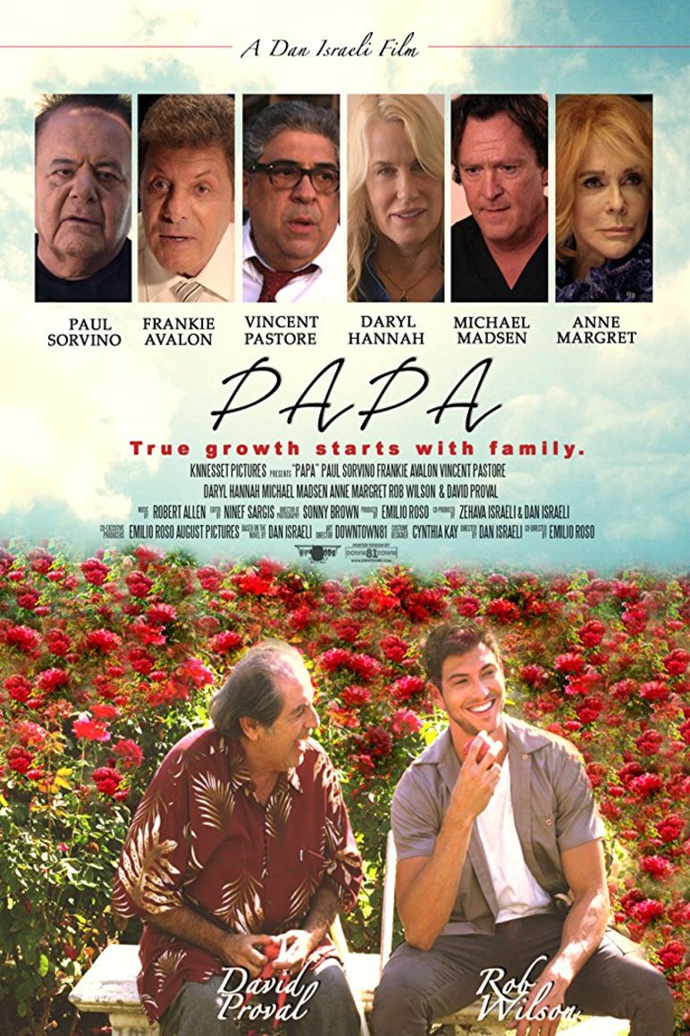 L'affiche du film Papa