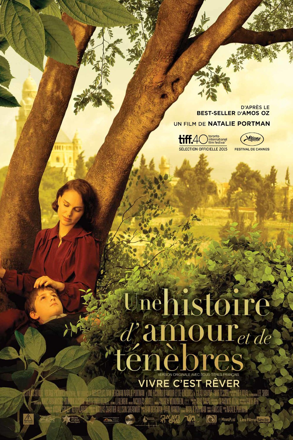 L'affiche du film A Tale of Love and Darkness