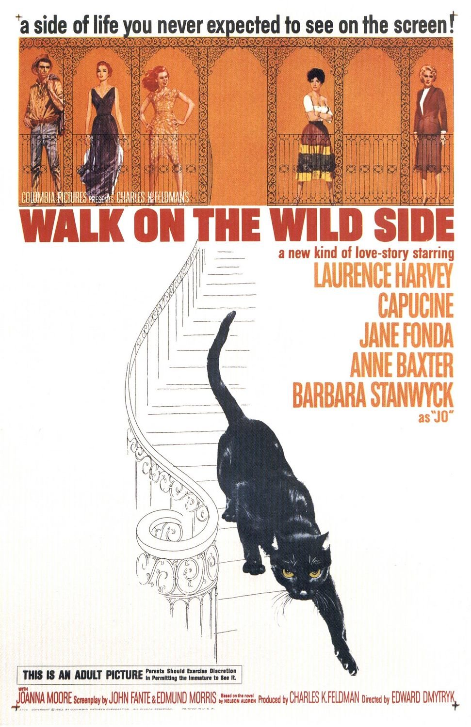 L'affiche du film Walk on the Wild Side