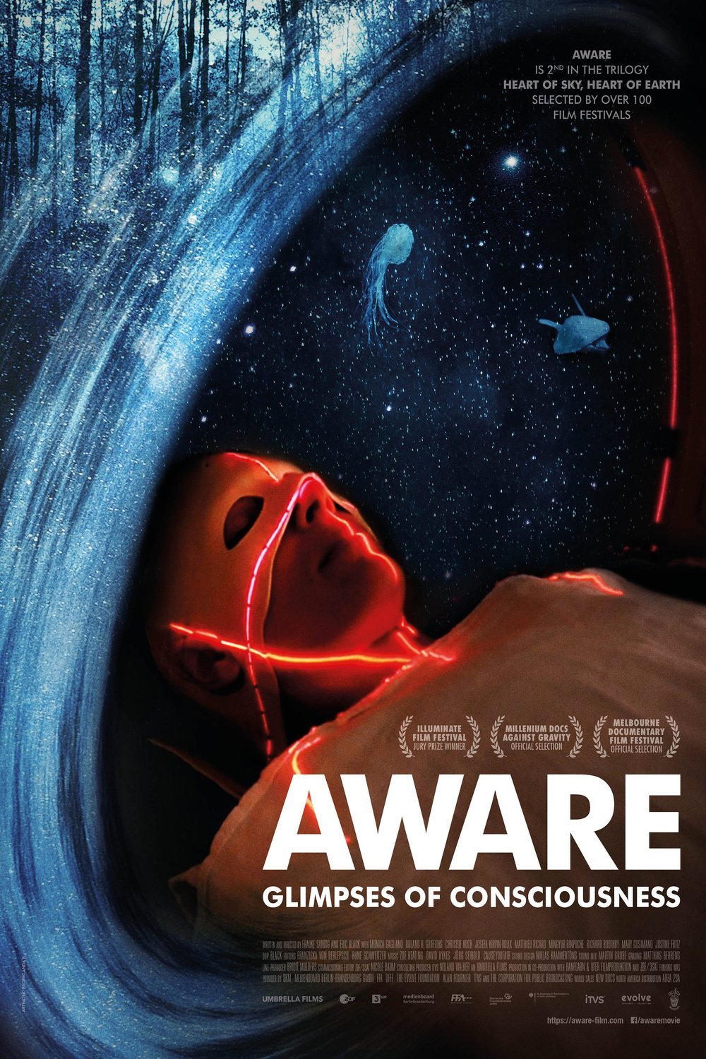 L'affiche du film Aware: Glimpses of Consciousness