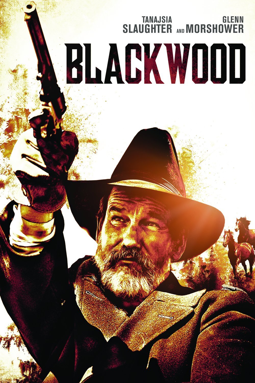 L'affiche du film Black Wood
