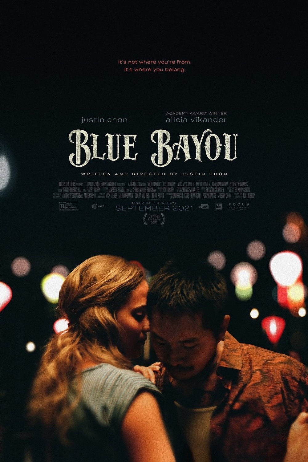L'affiche du film Blue Bayou