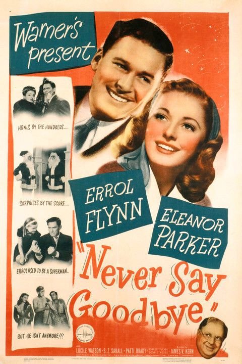 L'affiche du film Never Say Goodbye