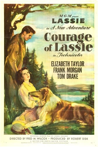 L'affiche du film Courage of Lassie