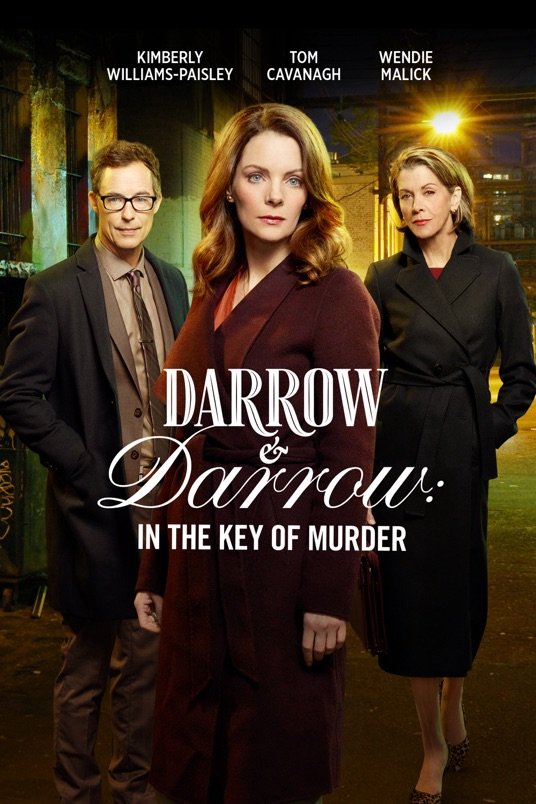 L'affiche du film Darrow & Darrow: Body of Evidence