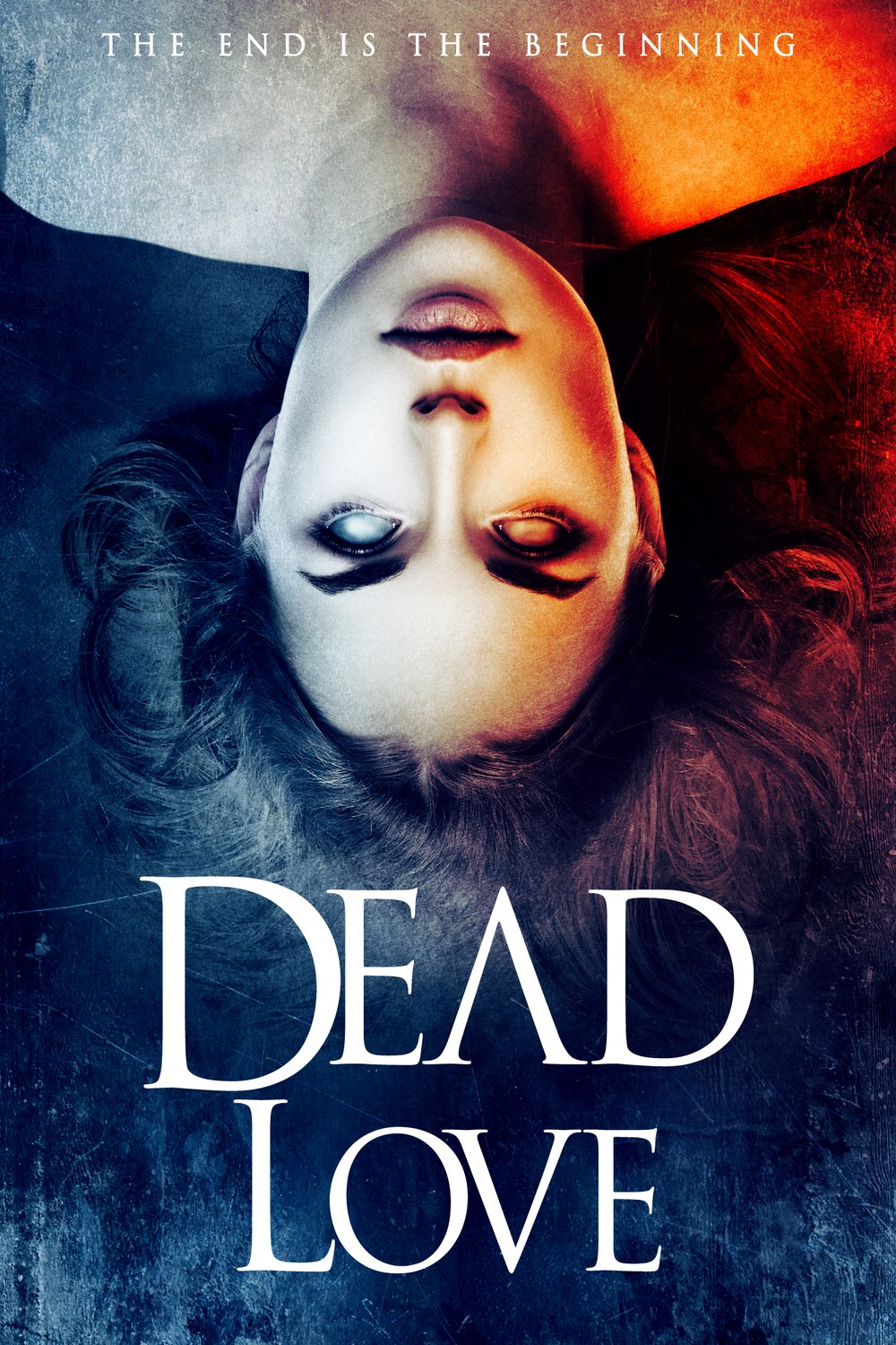 L'affiche du film Dead Love