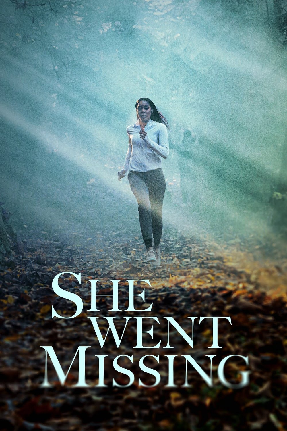 Poster of the movie She Went Missing