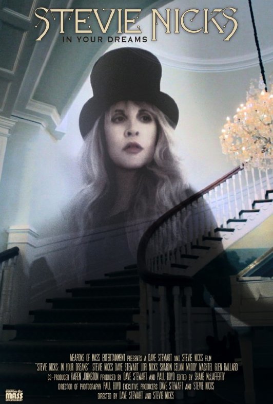L'affiche du film Stevie Nicks: In Your Dreams