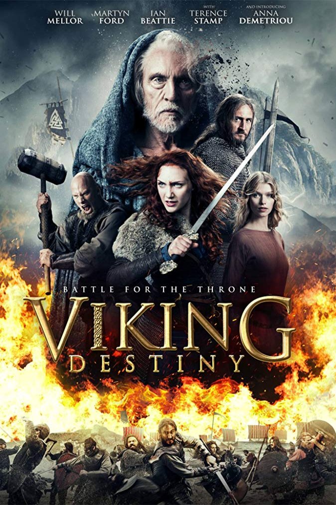 L'affiche du film Viking Destiny