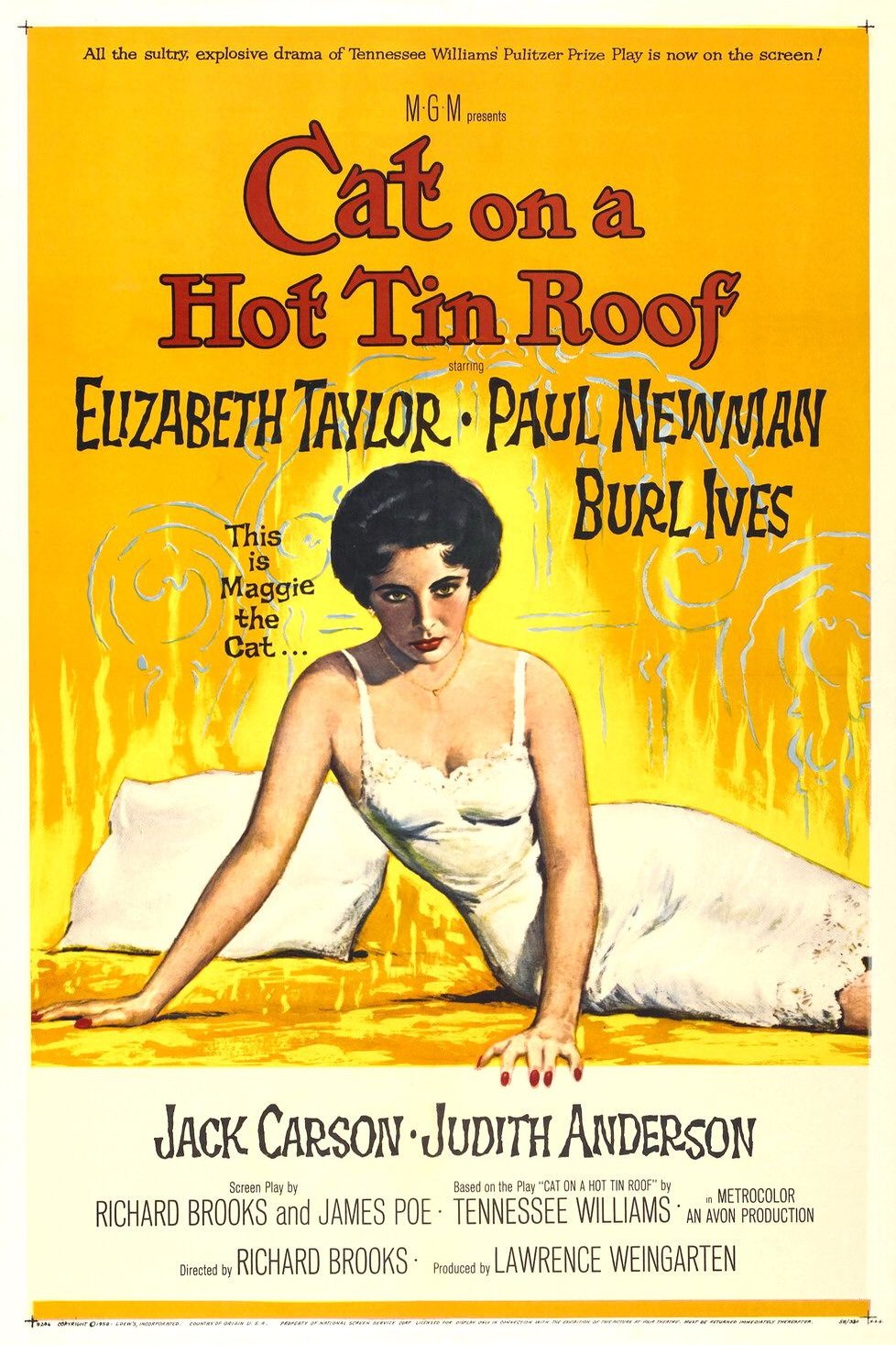 L'affiche du film Cat on a Hot Tin Roof