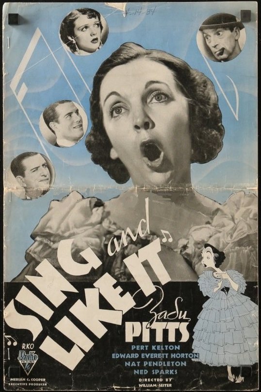 Poster of the movie Sing and Like It