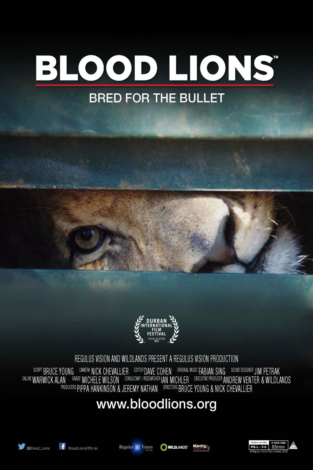 L'affiche du film Blood Lions