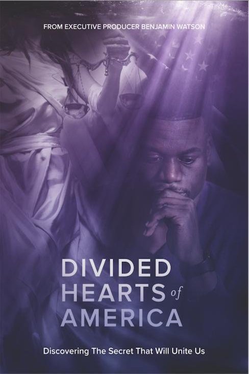 L'affiche du film Divided Hearts of America