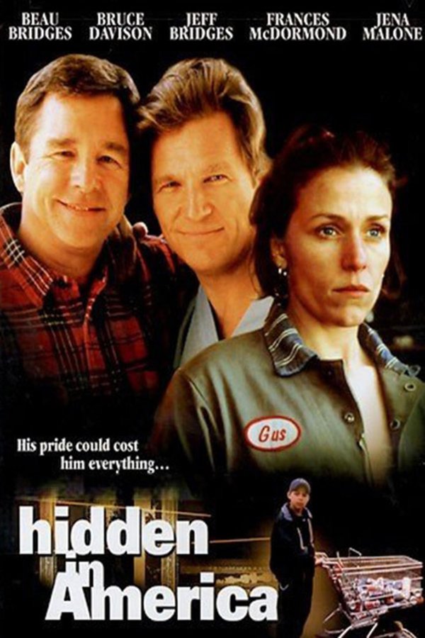L'affiche du film Hidden in America