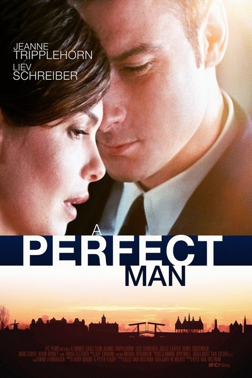 L'affiche du film A Perfect Man