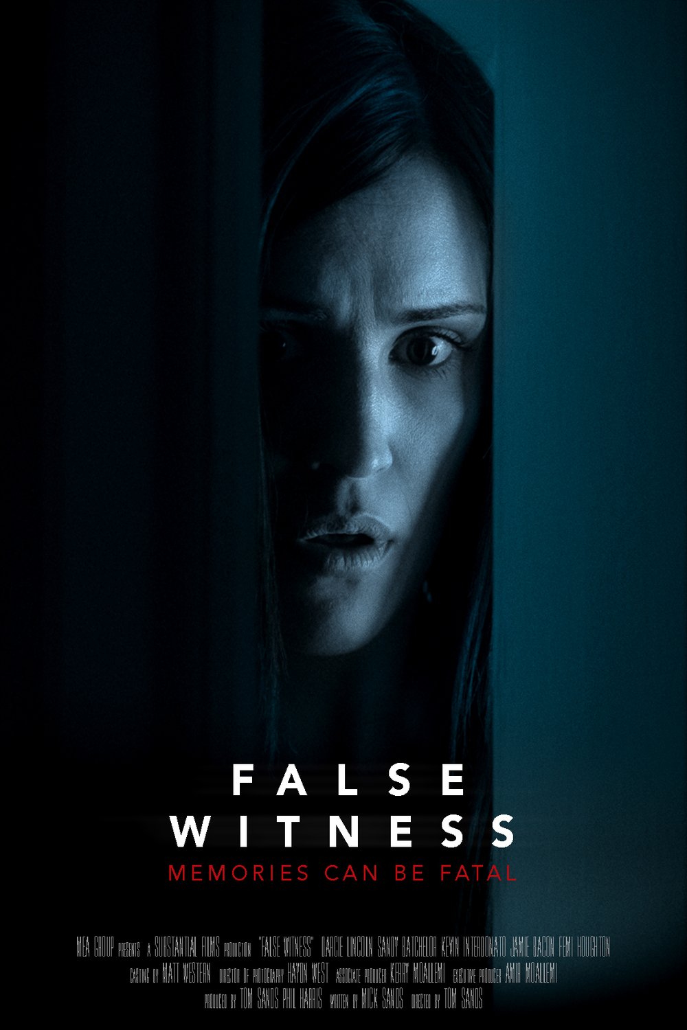 L'affiche du film False Witness