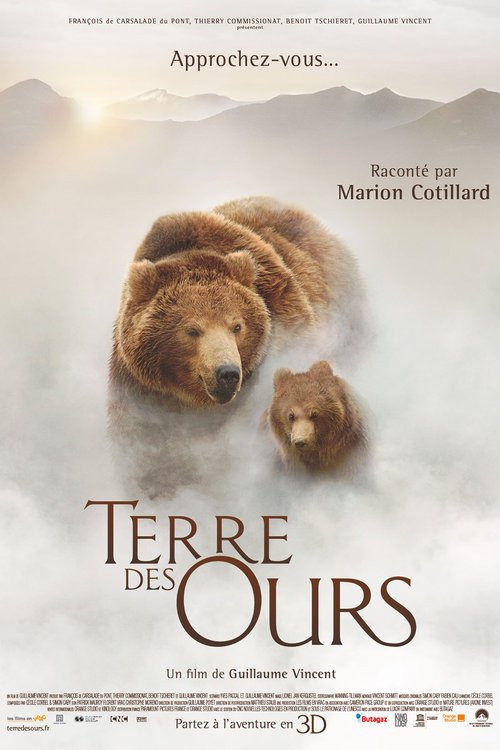 L'affiche du film Terre des ours
