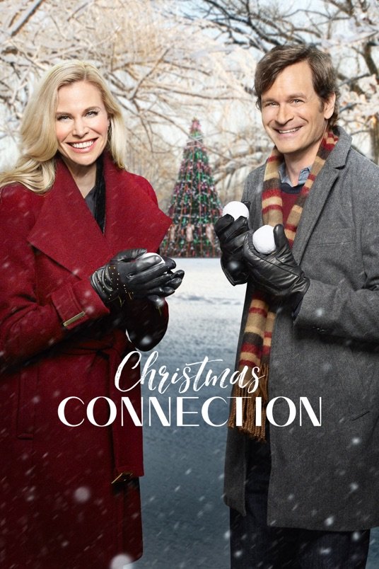 L'affiche du film Christmas Connection