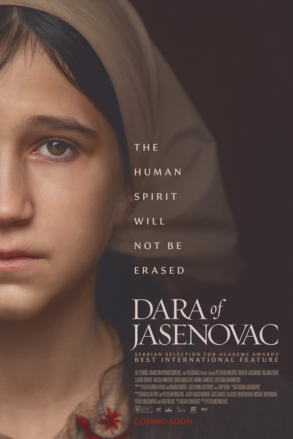 L'affiche originale du film Dara of Jasenovac en Serbe