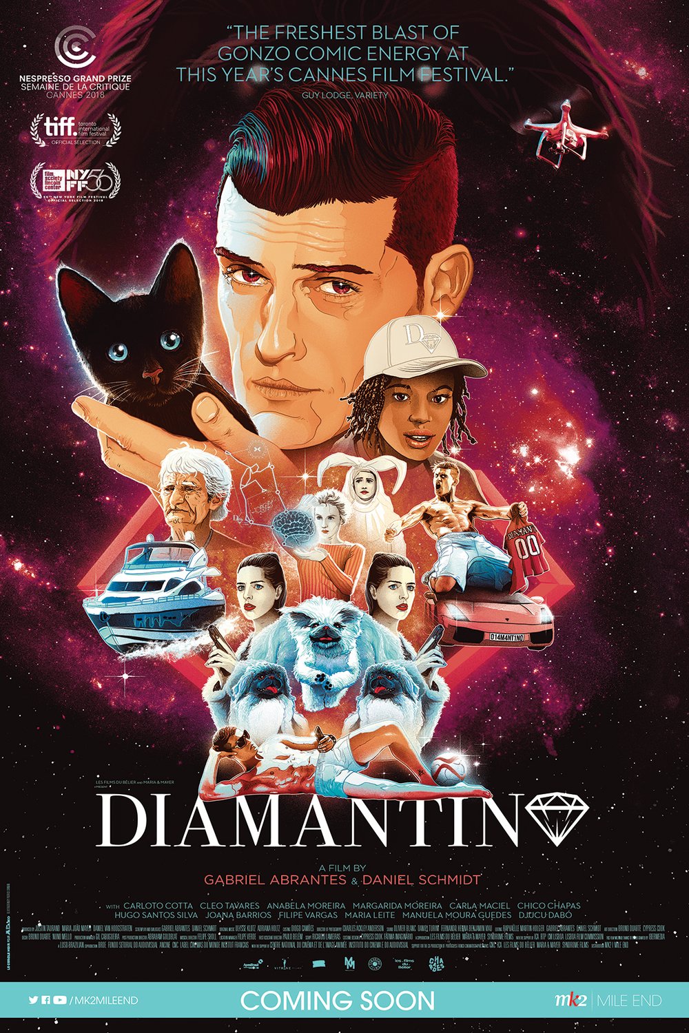 L'affiche du film Diamantino