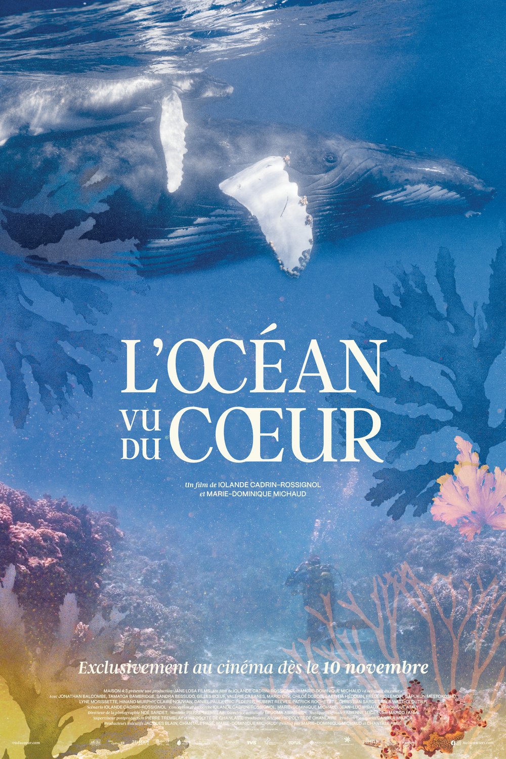 L'affiche du film L'océan vu du coeur