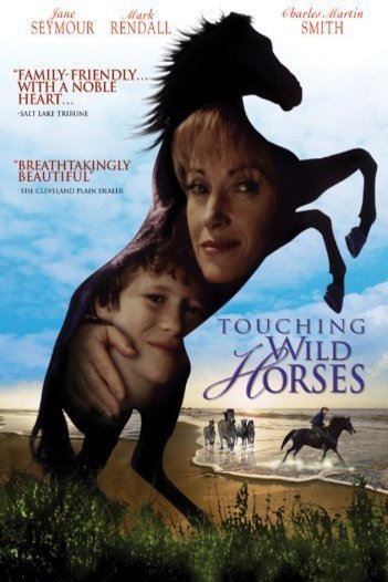 L'affiche du film Touching Wild Horses
