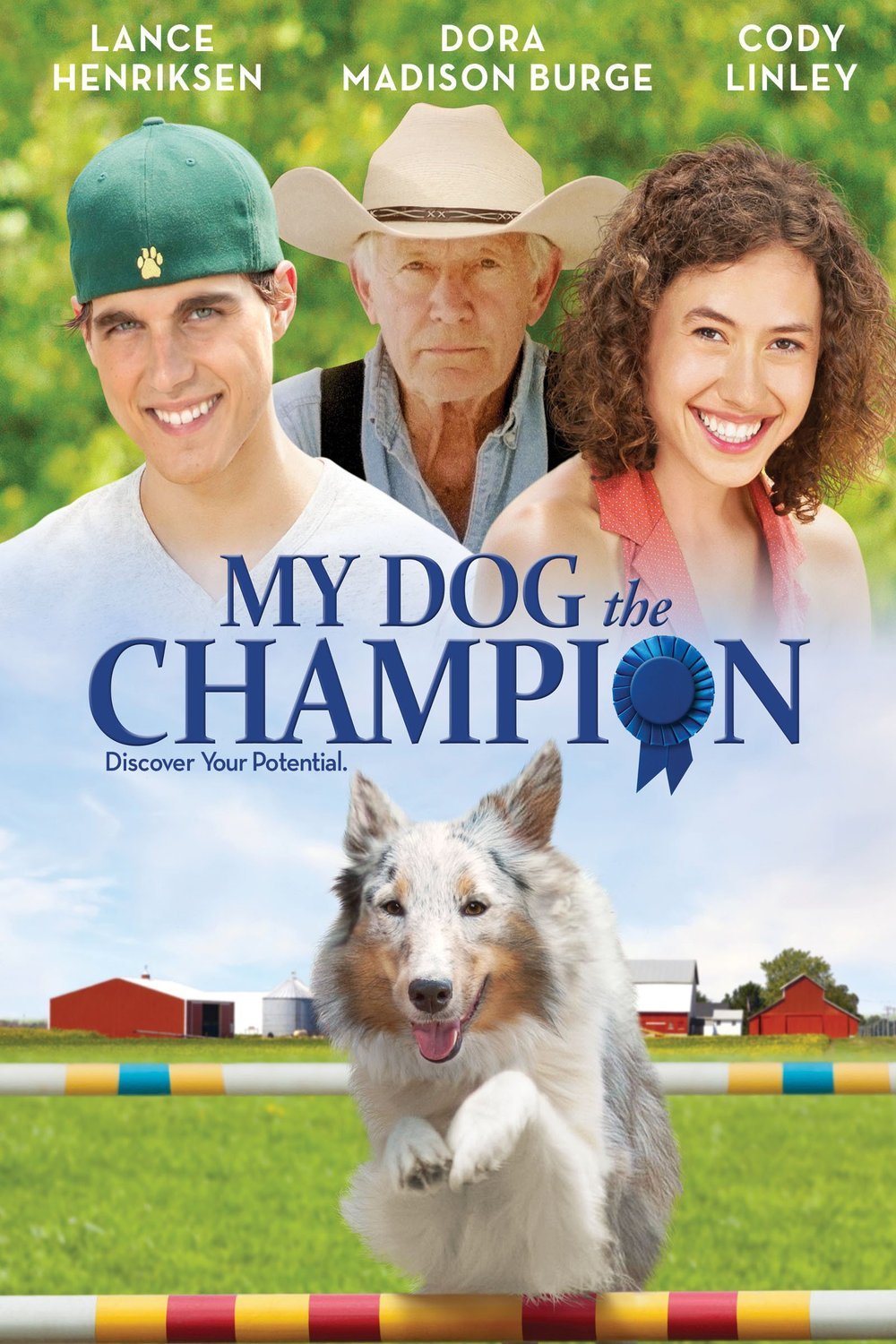 Poster of the movie Champion