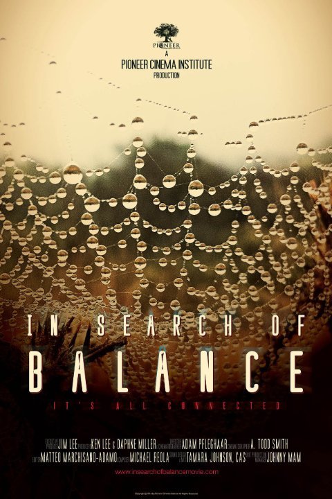L'affiche du film In Search of Balance