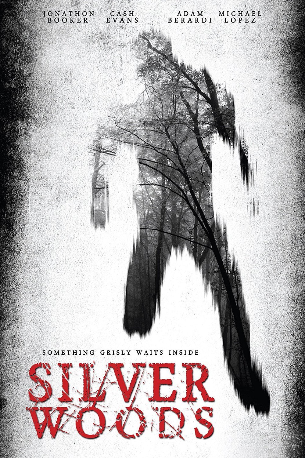 L'affiche du film Silver Woods