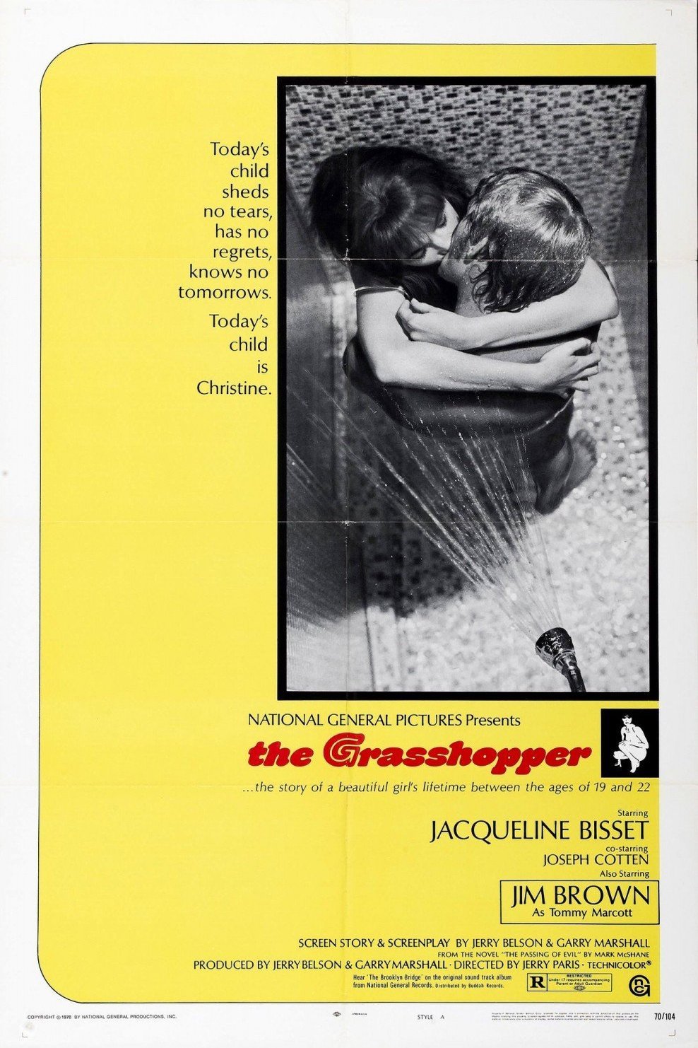 L'affiche du film The Grasshopper