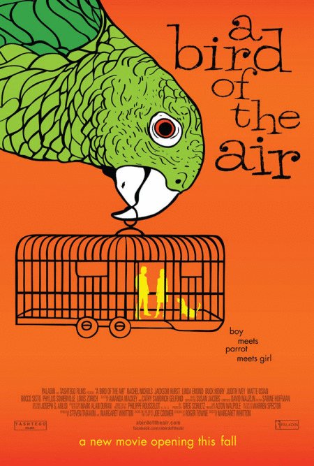 L'affiche du film A Bird of the Air