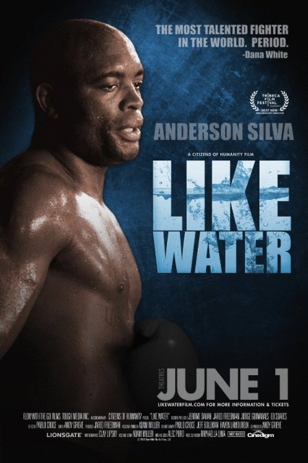 L'affiche du film Like Water