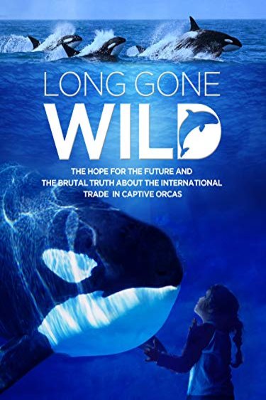 L'affiche du film Long Gone Wild