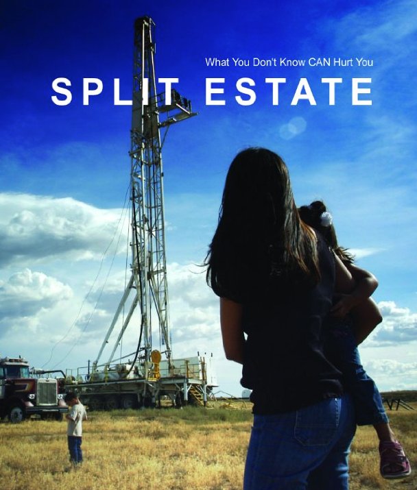 Poster of the movie Split Estate