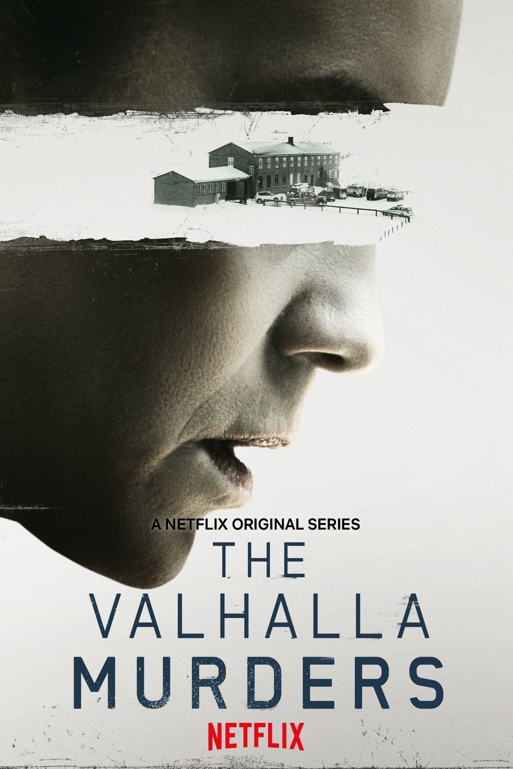 L'affiche du film The Valhalla Murders