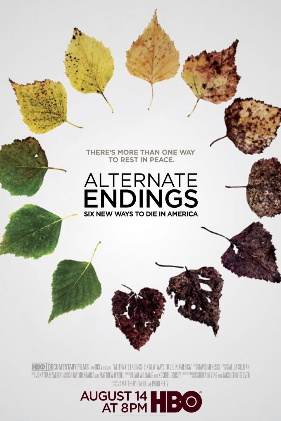 L'affiche du film Alternate Endings: Six New Ways to Die in America