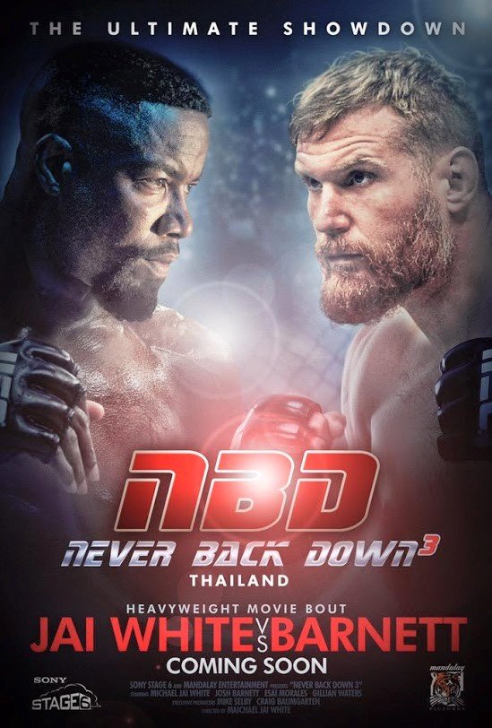 L'affiche du film Never Back Down 3
