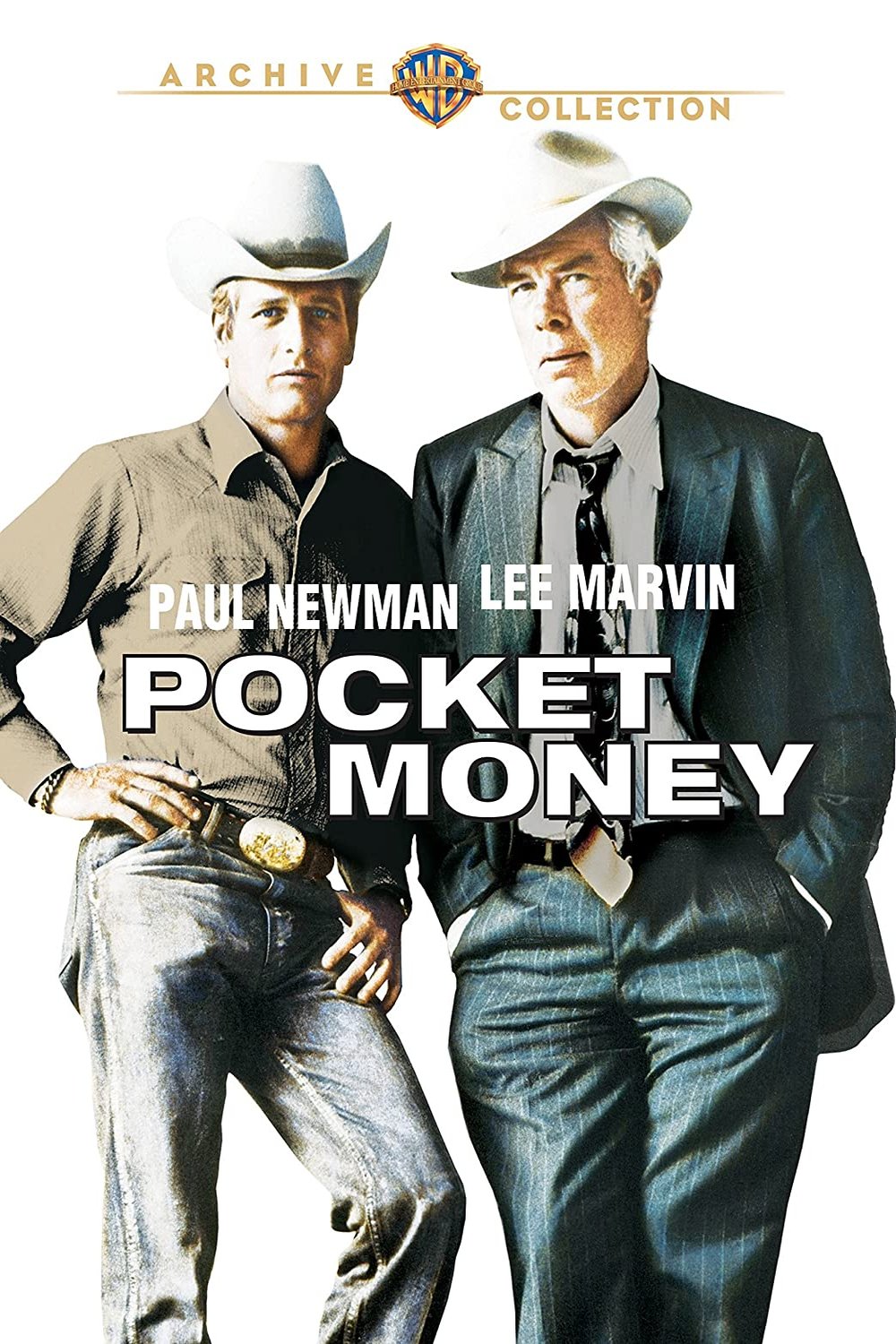 L'affiche du film Pocket Money