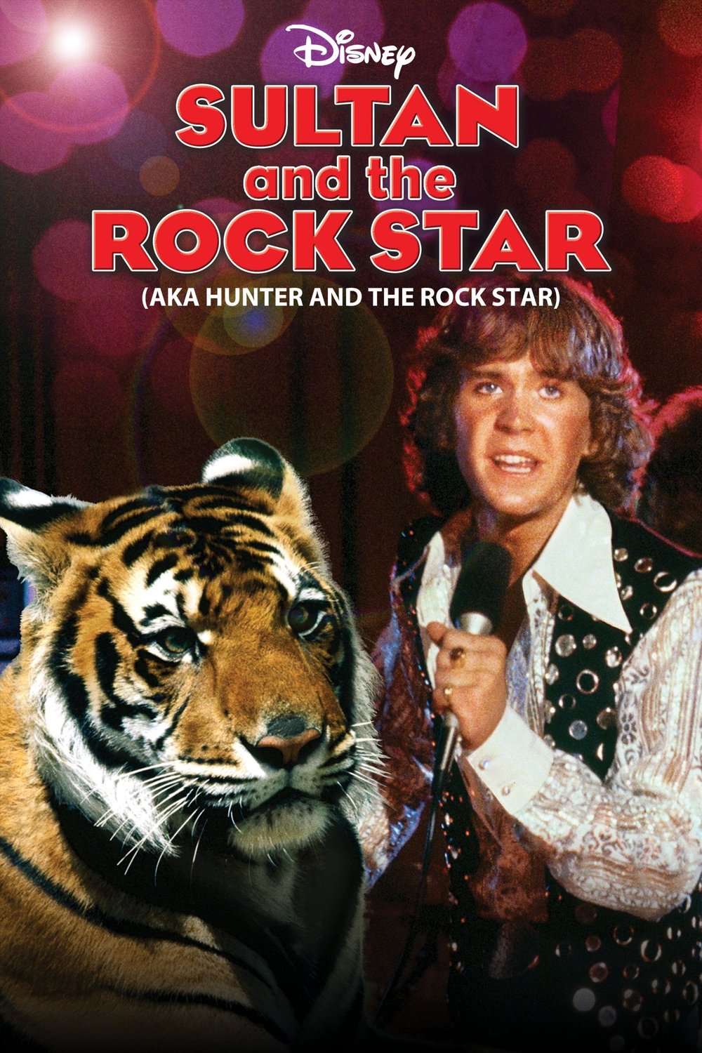 L'affiche du film Sultan and the Rock Star