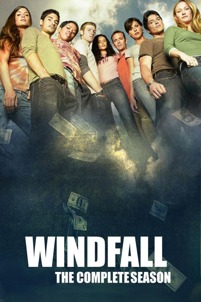 L'affiche du film Windfall